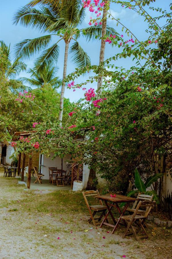 Guest house Life Porto De Galinhas Cupe